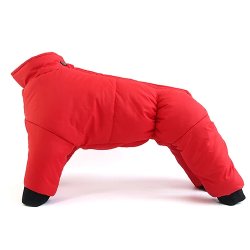 XXL Waterproof Winter Coat for French Bulldogs