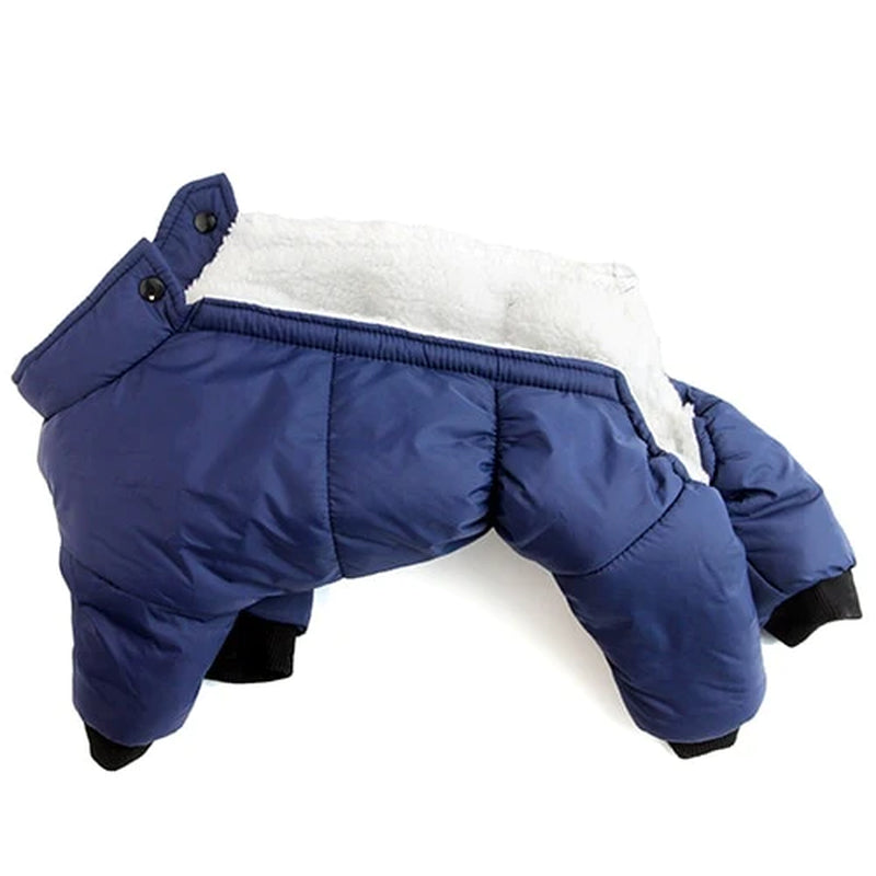 XXL Waterproof Winter Coat for French Bulldogs